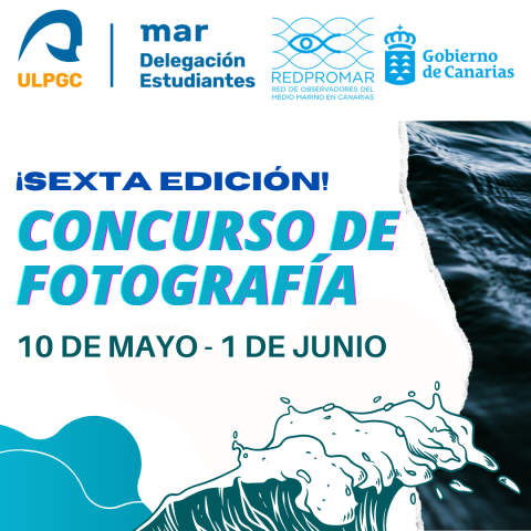 concurso de fotografia 2024